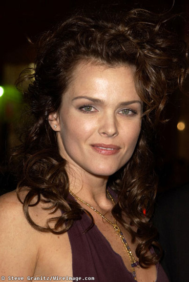 Dina Meyer Photos